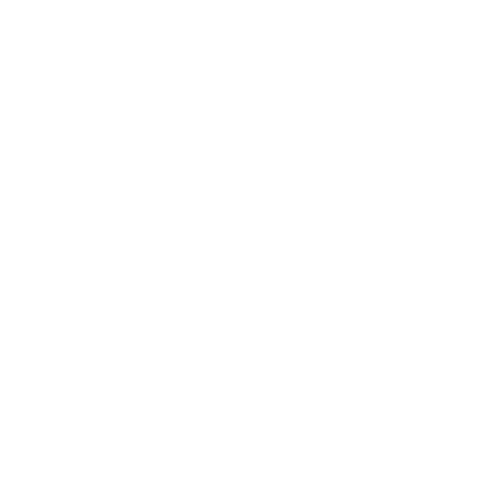 XS Digital Logo